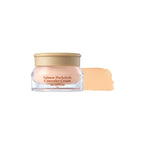 Corrector De Ojeras Salmon Darkcircle Concealer Cream Skinfood