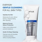 Limpiador 8 Hyaluronic Acid Hydrating Gentle Foaming Cleanser Anua