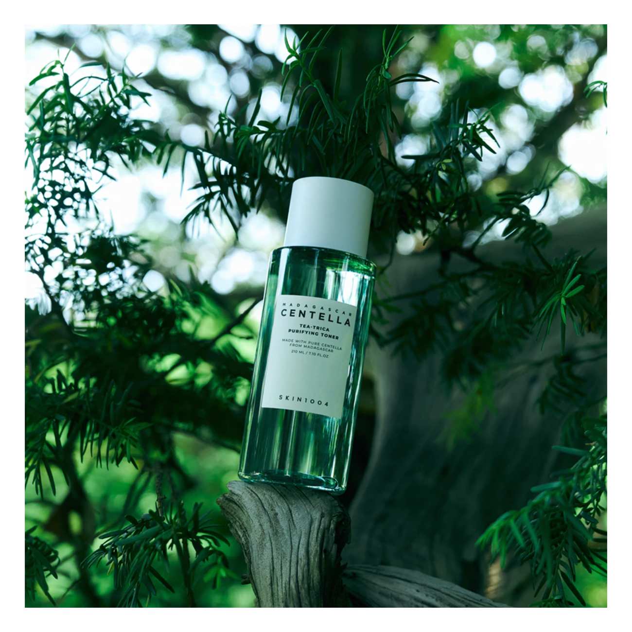 Tónico Madagascar Centella Tea-Trica Purifying Toner Skin1004
